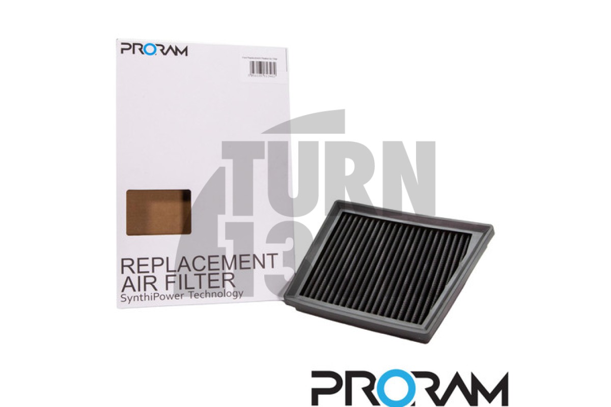 Ramair Panel Air Filter for Ford Fiesta ST Mk8