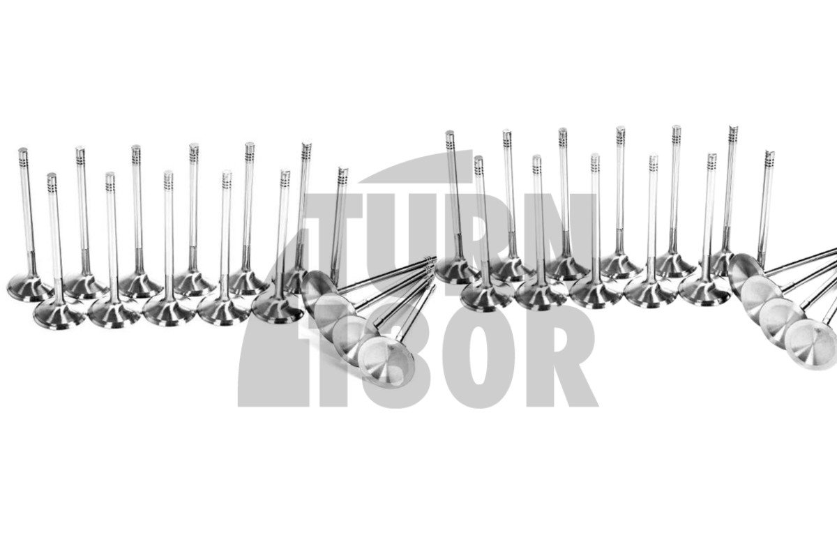 S3 8L / TT 8N / Leon 1M / Golf 4 GTI 1.8T 20V Ferrea Competition Plus Engine Valves x20