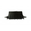 Black Mamba Ford Fiesta ST Mk8 Intercooler