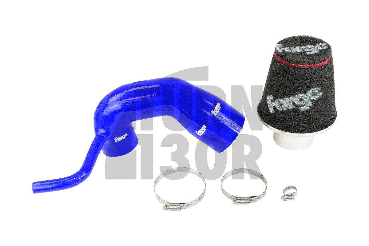 SEAT Ibiza / Skoda Fabia / VW Polo 1.2TSI-1.4GT 2015- Forge Motorsport Intake