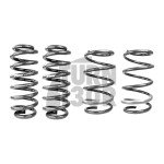Racingline Sport Springs Audi S3 / RS3 8V / RS3 8Y 