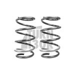 Racingline Sport Springs Audi S3 / RS3 8V / RS3 8Y 