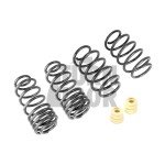 Racingline Sport Springs Golf 5 GTI / Golf 6 GTI / Leon 2 Cupra 