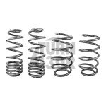 Racingline Sport Springs Golf 5 GTI / Golf 6 GTI / Leon 2 Cupra 