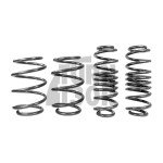 Racingline Sport Springs Golf 7 R 