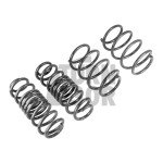 Racingline Sport Springs Golf 7 R SW / Leon 3 Cupra ST / Octavia VRS SW 
