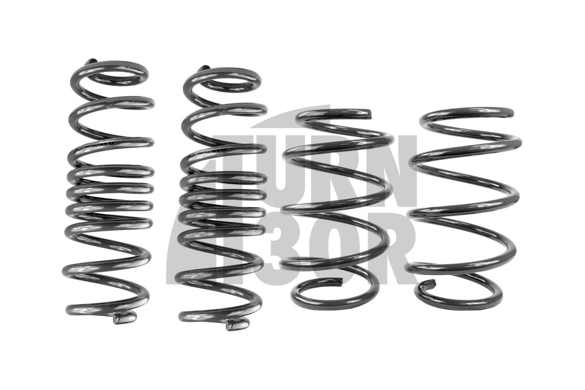Racingline Sport Springs Golf 7 R SW / Leon 3 Cupra ST / Octavia VRS SW 
