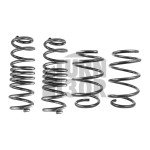 Racingline Sport Springs Golf 7 R SW / Leon 3 Cupra ST / Octavia VRS SW 