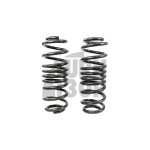 Racingline -20mm Sport Springs Golf 8 R 