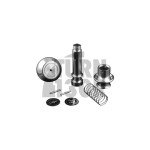 Leyo Billet DSG Shift Knob