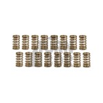 HKS Valve Springs Set for Mitsubishi Lancer Evo 8 - Evo 9