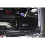 Gruppe M Carbon Fiber Intake System for Audi S3 8L