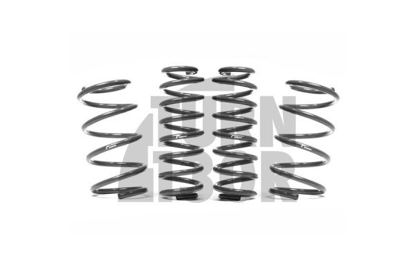 Racingline Sport Springs Audi S4 B9 